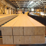 Sibirya Sarıçam Fırınlanmış Laminasyon